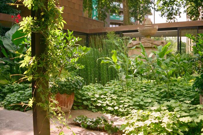 The Garden Museum Garden by Matt Collins.jpg